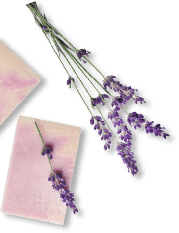3_produits_bkg_1